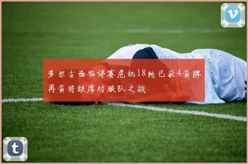 多尔古面临停赛危机18轮已获4黄牌再黄将缺席对狼队之战